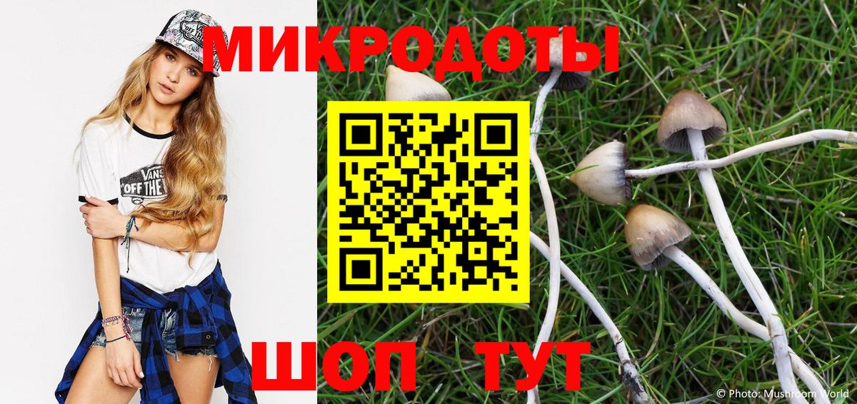 Дальнегорск  Галлюциногенные грибы Magic Shrooms  где купить наркоту  Вход с VPN 