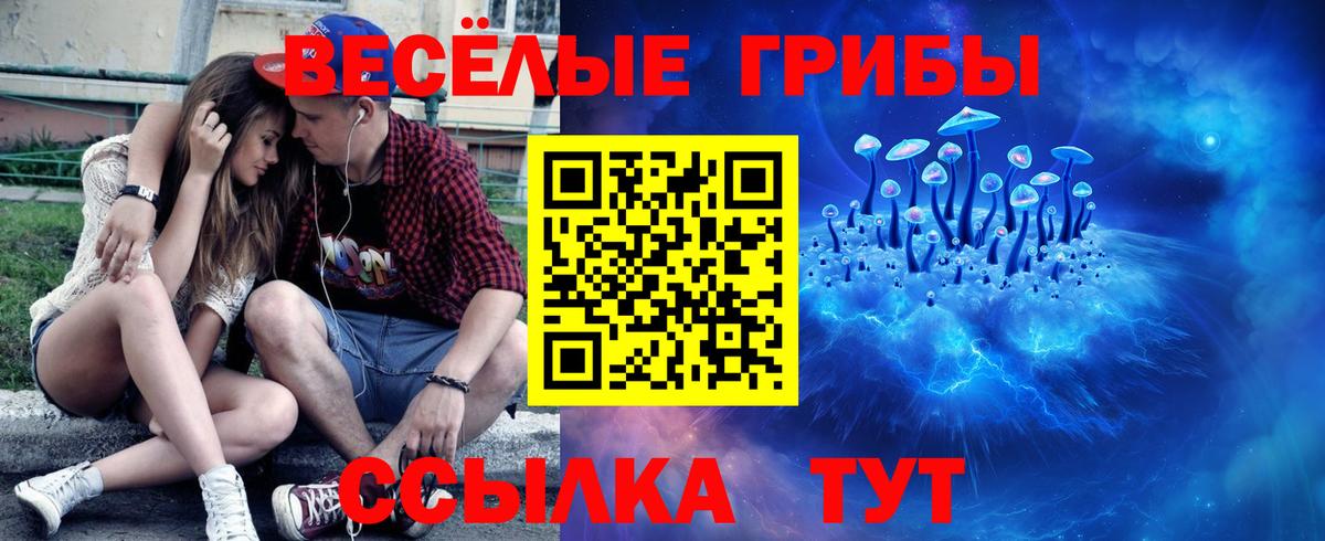 Галлюциногенные грибы Psilocybe Дальнегорск